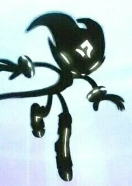 Shade the Echidna photo
