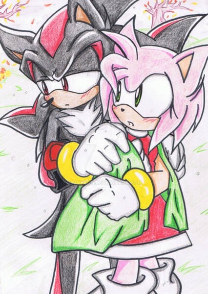 shadow and amy photo