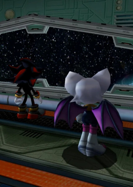 Shadow and Rouge photo