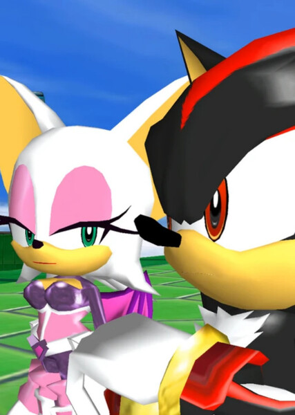 Shadow and Rouge photo