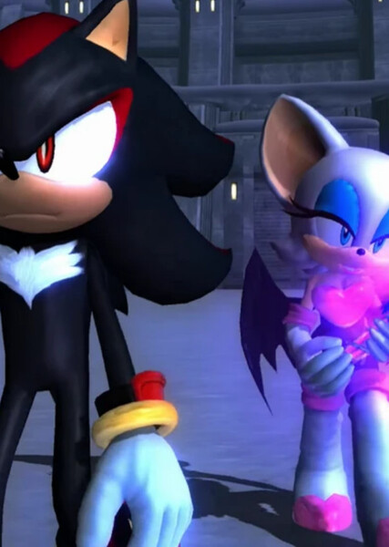 Shadow and Rouge photo