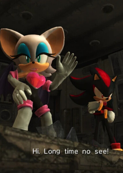 Shadow and Rouge photo