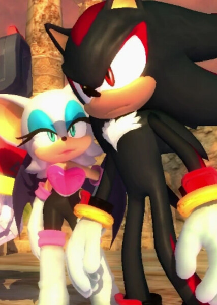 Shadow and Rouge photo