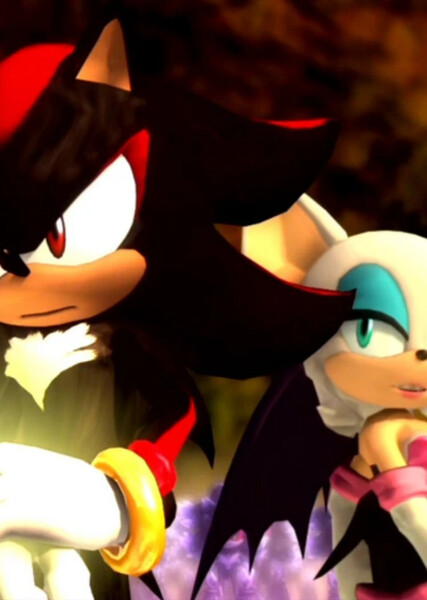 Shadow and Rouge photo