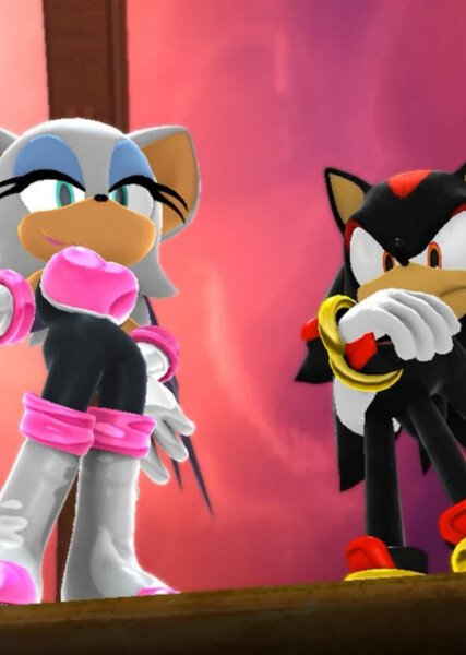 Shadow and Rouge photo