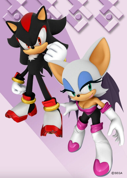 Shadow and Rouge photo