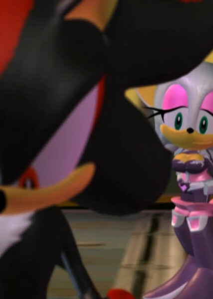 Shadow and Rouge photo