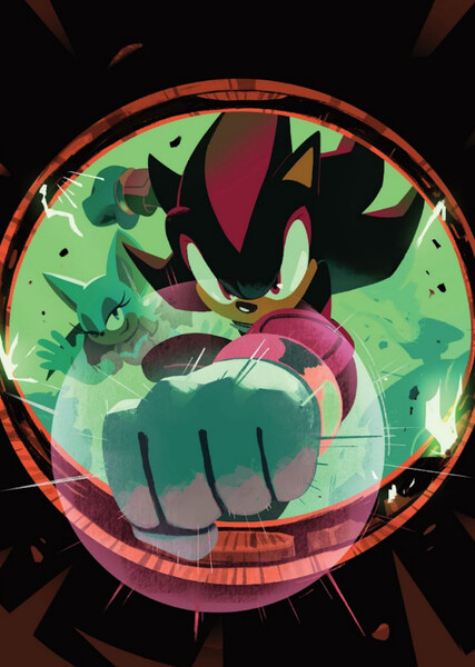 Shadow and Rouge photo