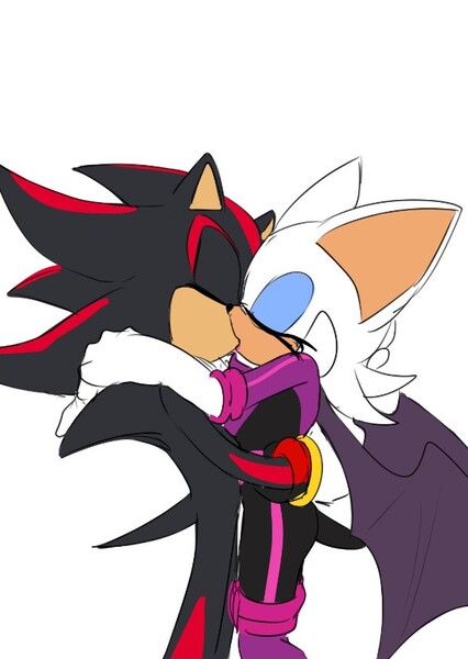Shadow and Rouge photo