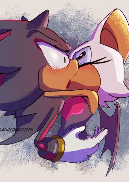 Shadow and Rouge photo