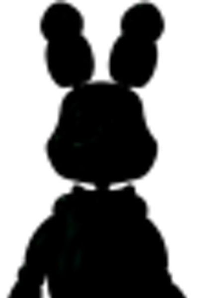 Shadow Bonnie photo