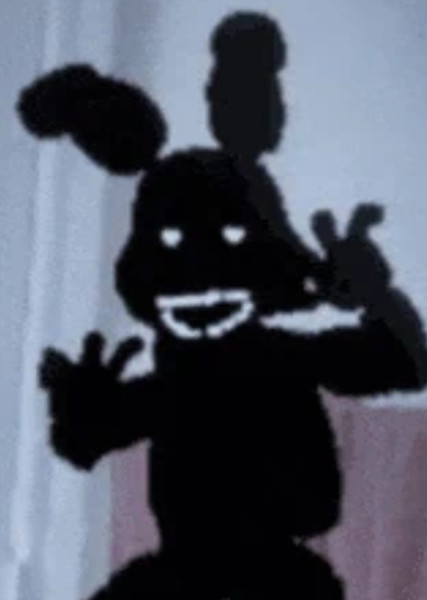 Shadow Bonnie photo