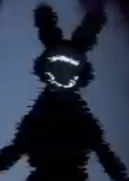 Shadow Bonnie photo