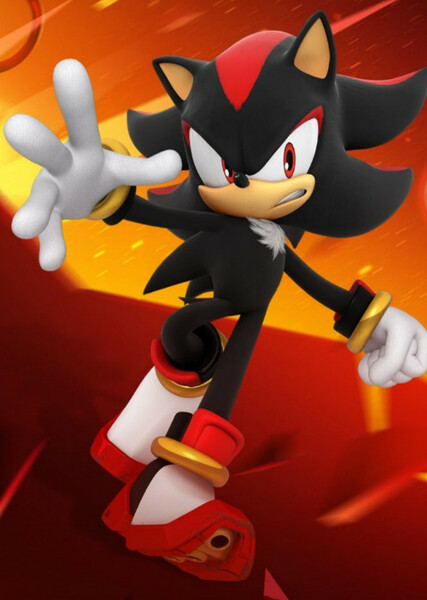 Shadow the Hedgehog photo