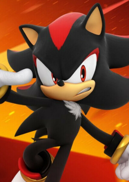Shadow the Hedgehog photo