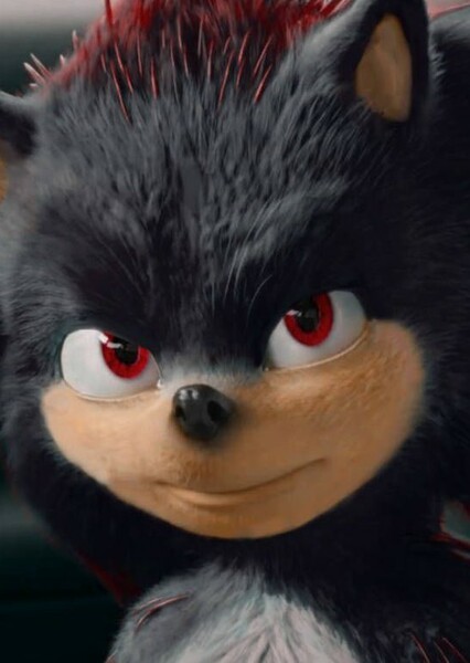 Shadow the Hedgehog photo