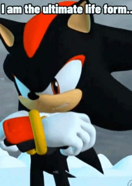 Shadow the Hedgehog photo