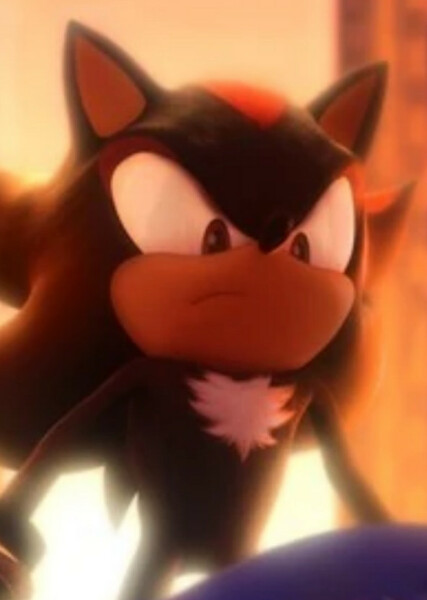 Shadow the Hedgehog photo