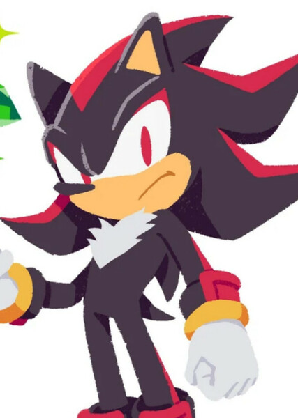 Shadow the Hedgehog photo