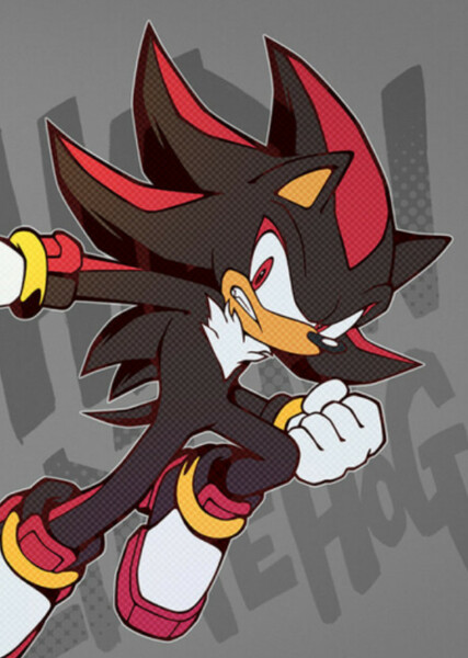 Shadow the Hedgehog photo