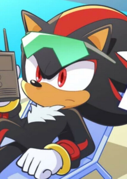 Shadow the Hedgehog photo