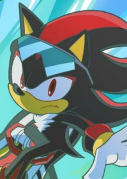 Shadow the Hedgehog photo