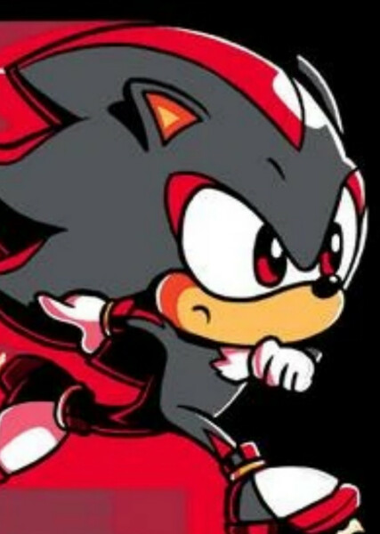 Shadow the Hedgehog photo