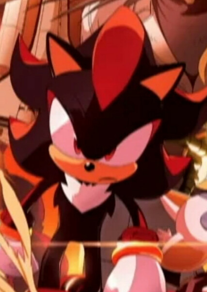 Shadow the Hedgehog photo