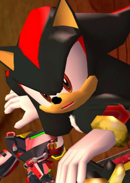 Shadow the Hedgehog photo