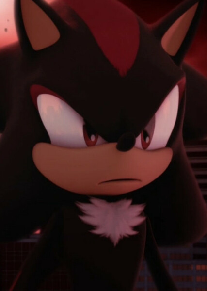 Shadow the Hedgehog photo