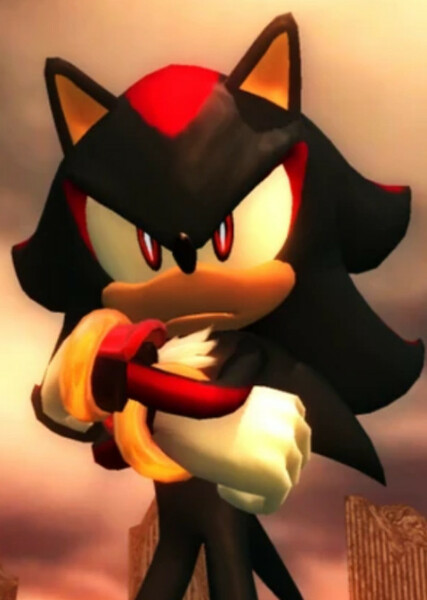 Shadow the Hedgehog photo