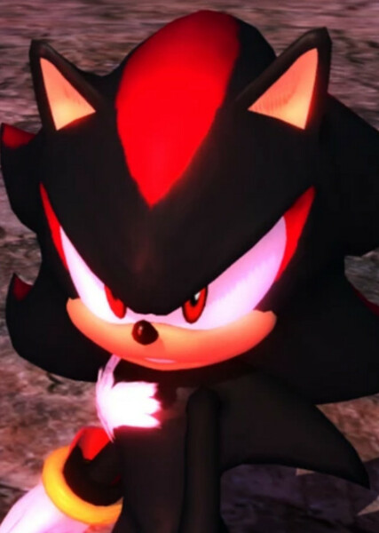 Shadow the Hedgehog photo