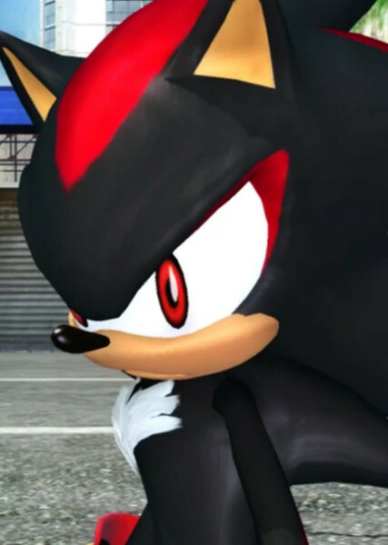 Shadow the Hedgehog photo
