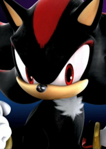 Shadow the Hedgehog photo