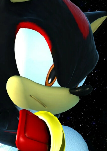 Shadow the Hedgehog photo