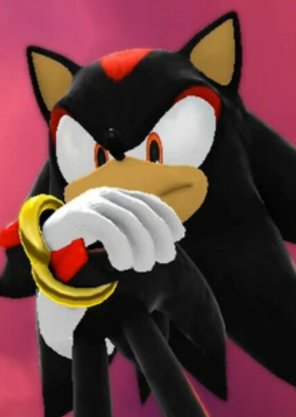 Shadow the Hedgehog photo