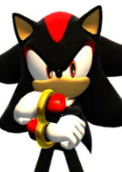 Shadow the Hedgehog photo