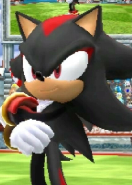 Shadow the Hedgehog photo