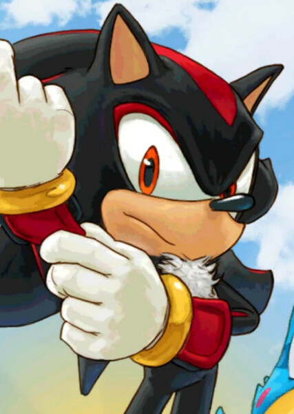 Shadow the Hedgehog photo
