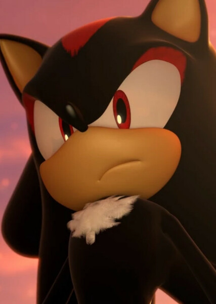 Shadow the Hedgehog photo