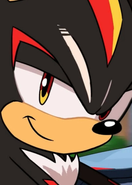 Shadow the Hedgehog photo