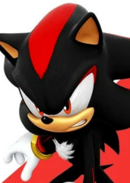 Shadow the Hedgehog photo