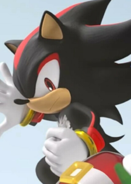 Shadow the Hedgehog photo