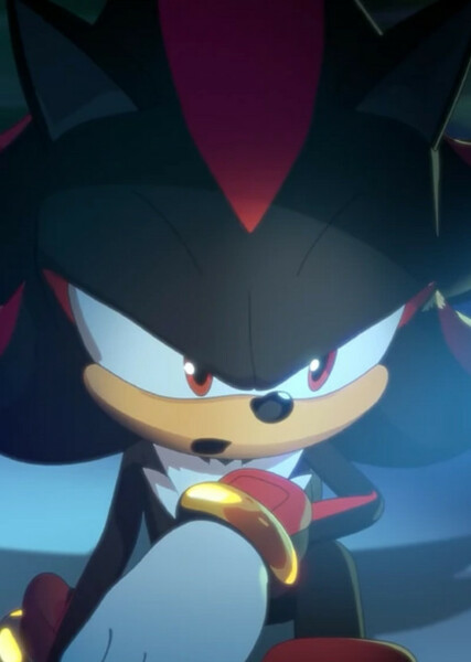 Shadow the Hedgehog photo
