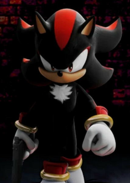 Shadow the Hedgehog photo