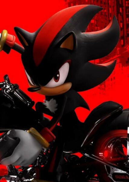 Shadow the Hedgehog photo