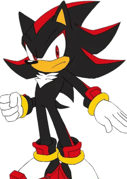 Shadow the Hedgehog photo
