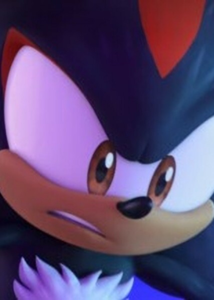 Shadow the Hedgehog photo