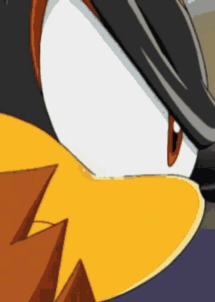 Shadow the Hedgehog photo