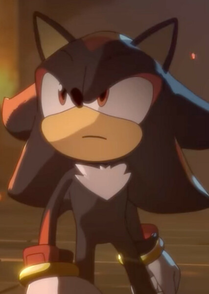 Shadow the Hedgehog photo